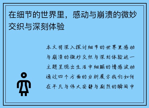 在细节的世界里，感动与崩溃的微妙交织与深刻体验